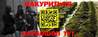 спиды Железногорск
