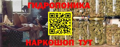 спиды Железногорск