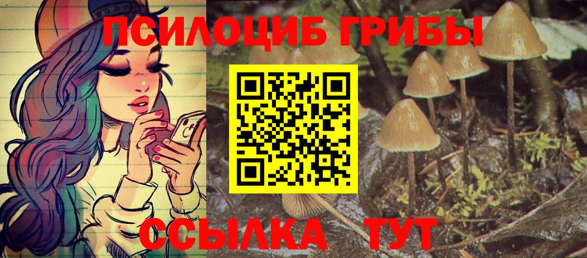 Северск  Галлюциногенные грибы Magic Shrooms  цены наркотик  Вход с VPN 