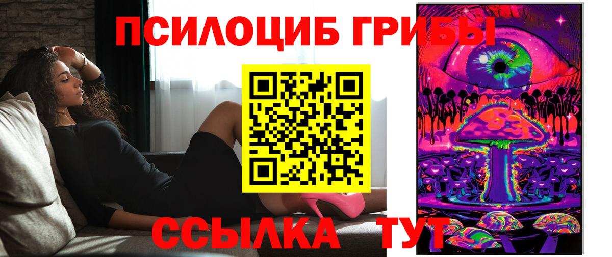 Галлюциногенные грибы мухоморы Северск
